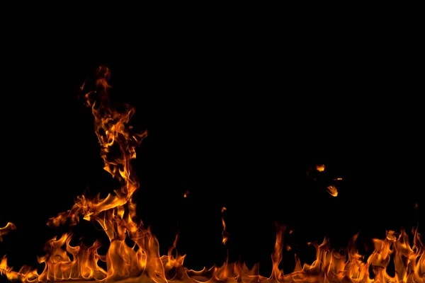 Köye yakın ağaçlık alanda çiçekler açıyor. Çiçeklere yakın çekim.