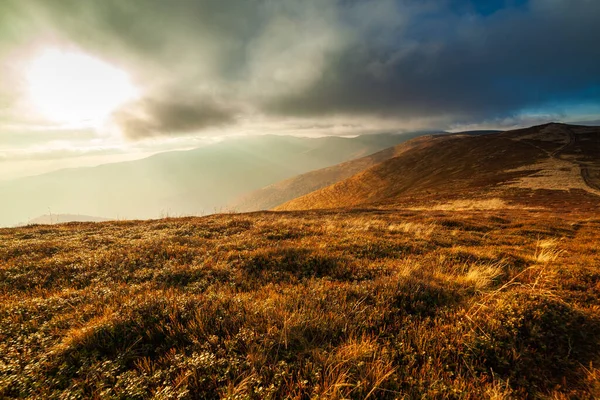 Ukrayna, Magura-Jide dağları ve Karpat dağlarının mavi gökyüzü manzarası. Borzhava dağlarının geniş açık çöl manzaraları. Pylypets, Ulusal Park.