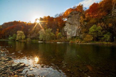 Sonbaharda şelalenin manzarası. Sonbahar renklerinde şelale. Sonbahar manzarasında dağ nehri. Ukrayna, Stryj Nehri.