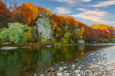 Sonbaharda şelalenin manzarası. Sonbahar renklerinde şelale. Sonbahar manzarasında dağ nehri. Ukrayna, Stryj Nehri.