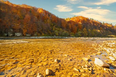 Sonbaharda şelalenin manzarası. Sonbahar renklerinde şelale. Sonbahar manzarasında dağ nehri. Ukrayna, Stryj Nehri.