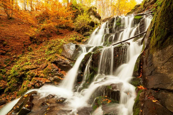 Ukpaine. Yosunlu kayaların arasında şelale. Günbatımında Karpat Dağları 'nda sonbahar ormanlarındaki bir nehirde güzel manzara akıntıları. Ulusal park Shypit Carpat 'ta gümüş akıntısı. Kuklalar.