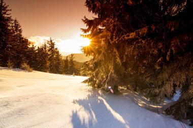 Harika bir kış manzarası. Kış dağı ormanı. Sıcak güneş ışığı altında buzlu ağaçlar. resim gibi doğa manzarası. yaratıcı sanatsal imaj. Instagram filtresi. kış bayramı arkaplanı.