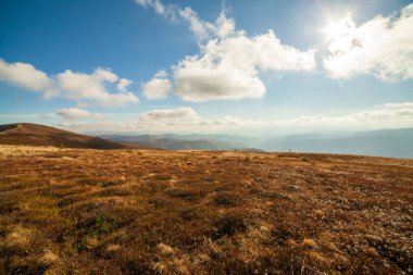 Ukrayna, Magura-Jide dağları ve Karpat dağlarının mavi gökyüzü manzarası. Borzhava dağlarının geniş açık çöl manzaraları. Pylypets, Ulusal Park.