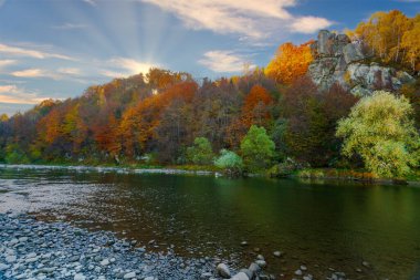 Sonbaharda şelalenin manzarası. Sonbahar renklerinde şelale. Sonbahar manzarasında dağ nehri. Ukrayna, Stryj Nehri.