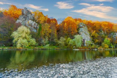 Sonbaharda şelalenin manzarası. Sonbahar renklerinde şelale. Sonbahar manzarasında dağ nehri. Ukrayna, Stryj Nehri.