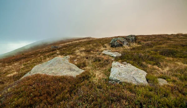 Ukrayna, Magura-Jide dağları ve Karpat dağlarının mavi gökyüzü manzarası. Borzhava dağlarının geniş açık çöl manzaraları. Pylypets, Ulusal Park.