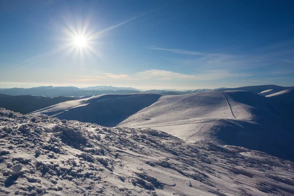 Krásné zimní panorama s čerstvým prachovým sněhem. Krajina se smrky, modrá obloha se slunečním světlem a vysoké Karpaty na pozadí — Stock fotografie