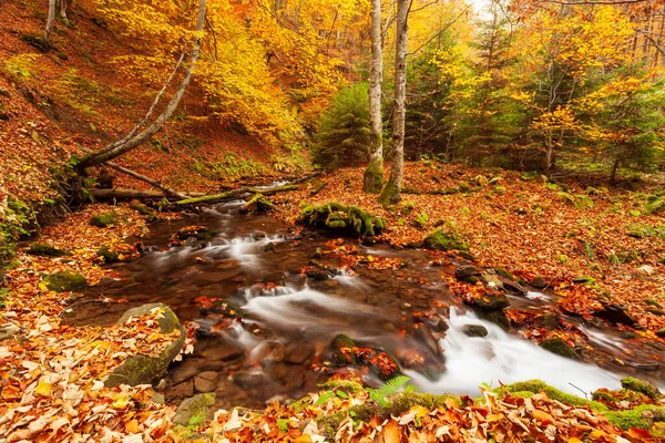 Ukraine. Ein sanfter Bach plätschert um moosbewachsene Felsen, umgeben von Bäumen, die in den Karpaten mit Herbstlaub geschmückt sind. Shypit-Karpaten im Nationalpark. — Stockfoto