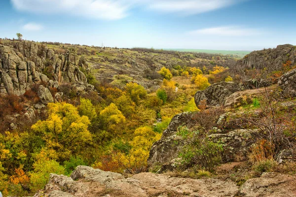 Resimli Ukrayna 'daki küçük bir nehrin üzerinde yeşil bitki örtüsüyle kaplı çok sayıda taş minerali ve onun güzel doğası.