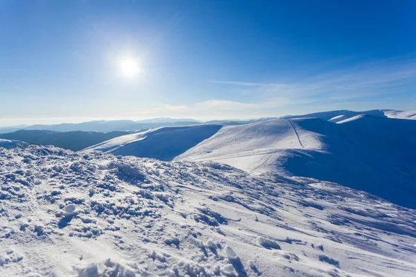 Taze kar yağışlı güzel bir kış manzarası. Ladin ağaçlarıyla manzara, güneş ışığıyla mavi gökyüzü ve arka planda yüksek Karpat dağları