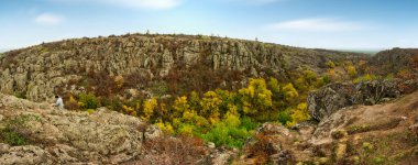 Resimli Ukrayna 'daki küçük bir nehrin üzerinde yeşil bitki örtüsüyle kaplı çok sayıda taş minerali ve onun güzel doğası.