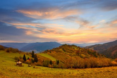 Karpatlar, Ukrayna. Donmuş çimenler, güzel mavi bir gökyüzünün ve tüylü beyaz sislerin arkaplanına beyaz buzla kaplanmış.