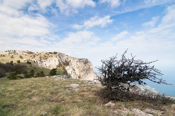 Un paesaggio meraviglioso e insolitamente bello che domina l'altopiano delle montagne di Crimea. Natura pulita e ragionevole della Crimea. Ucraina, territorio occupato dalla Federazione russa. — Foto Stock