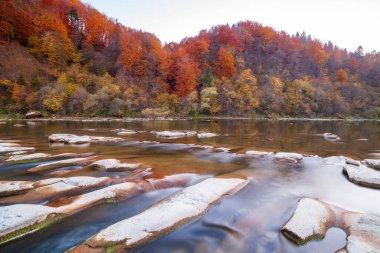 Sonbaharda şelalenin manzarası. Sonbahar renklerinde şelale. Sonbahar manzarasında dağ nehri. Ukrayna, Stryj Nehri.