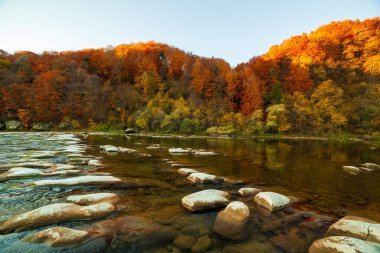 Sonbaharda şelalenin manzarası. Sonbahar renklerinde şelale. Sonbahar manzarasında dağ nehri. Ukrayna, Stryj Nehri.