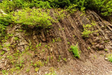 taş doku - katı madde yapısı ve konumu, parçalarının niteliği.