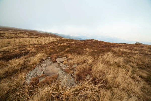 Ukrayna, Magura-Jide dağları ve Karpat dağlarının mavi gökyüzü manzarası. Borzhava dağlarının geniş açık çöl manzaraları. Pylypets, Ulusal Park.