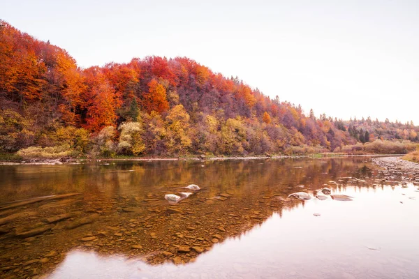 Sonbaharda şelalenin manzarası. Sonbahar renklerinde şelale. Sonbahar manzarasında dağ nehri. Ukrayna, Stryj Nehri.