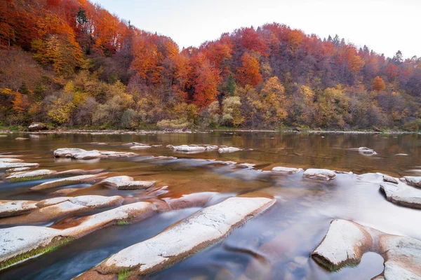 Sonbaharda şelalenin manzarası. Sonbahar renklerinde şelale. Sonbahar manzarasında dağ nehri. Ukrayna, Stryj Nehri.