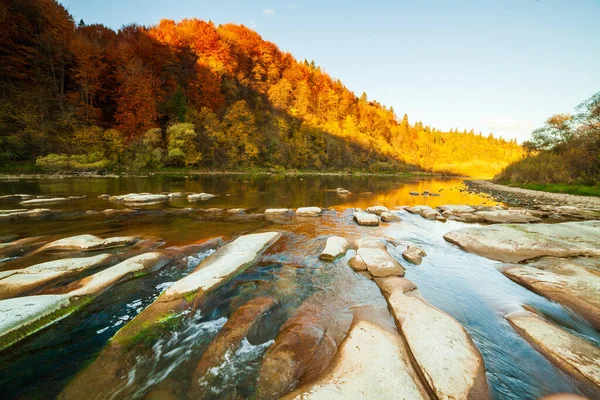 Sonbaharda şelalenin manzarası. Sonbahar renklerinde şelale. Sonbahar manzarasında dağ nehri. Ukrayna, Stryj Nehri.