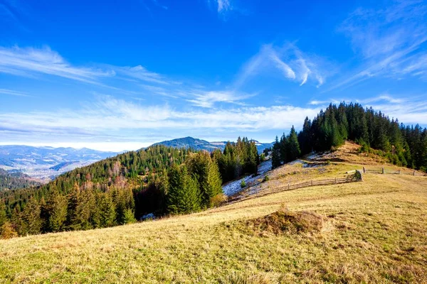 Arbre à flanc de colline sur les montagnes d'automne. beau paysage lumineux avec crête de montagne brumeuse à distance — Photo