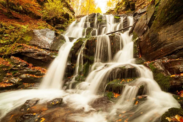 Ukpaine. Yosunlu kayaların arasında şelale. Günbatımında Karpat Dağları 'nda sonbahar ormanlarındaki bir nehirde güzel manzara akıntıları. Ulusal park Shypit Carpat 'ta gümüş akıntısı. Kuklalar.