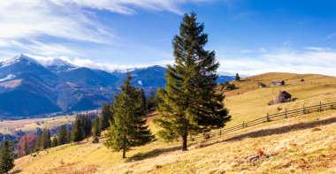 sonbahar dağlar yamaca ağaçta. puslu dağ sırtı bir mesafede, güzel aydınlık yatay
