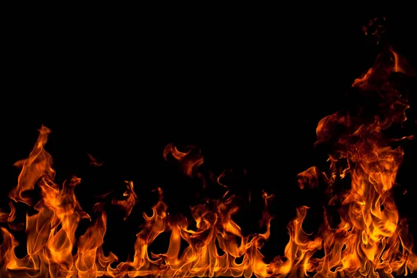 Köye yakın ağaçlık alanda çiçekler açıyor. Çiçeklere yakın çekim.