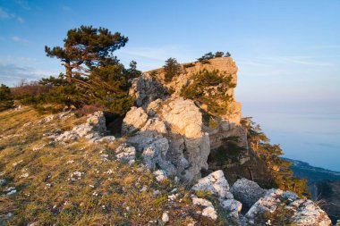 Kırım dağlarının yüksek platosuna bakan harika ve alışılmadık güzellikte bir manzara. Kırım 'ın temiz ve makul doğası. Ukrayna, Rusya Federasyonu 'nun işgal ettiği bölge..