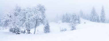 Karla kaplı ağaçlarla kaplı güzel bir kış manzarası. Kış dağları.