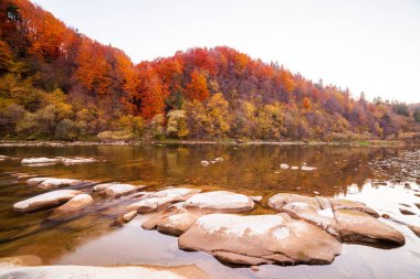 Sonbaharda şelalenin manzarası. Sonbahar renklerinde şelale. Sonbahar manzarasında dağ nehri. Ukrayna, Stryj Nehri.