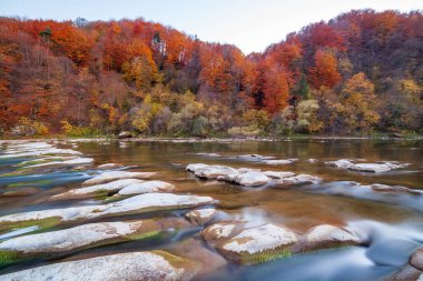 Sonbaharda şelalenin manzarası. Sonbahar renklerinde şelale. Sonbahar manzarasında dağ nehri. Ukrayna, Stryj Nehri.
