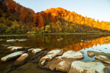 Sonbaharda şelalenin manzarası. Sonbahar renklerinde şelale. Sonbahar manzarasında dağ nehri. Ukrayna, Stryj Nehri.