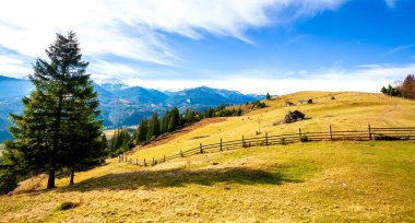 sonbahar dağlar yamaca ağaçta. puslu dağ sırtı bir mesafede, güzel aydınlık yatay