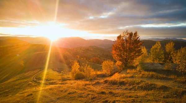 Ukrayna. Karpatlar 'da gün doğumu parlıyor. Dağların vadilerine ve ovalarına renkli sis yayılıyor. Altın bozkırlar göz kamaştırıcı derecede güzel..