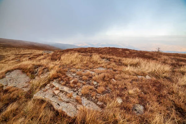 Ukrayna, Magura-Jide dağları ve Karpat dağlarının mavi gökyüzü manzarası. Borzhava dağlarının geniş açık çöl manzaraları. Pylypets, Ulusal Park.