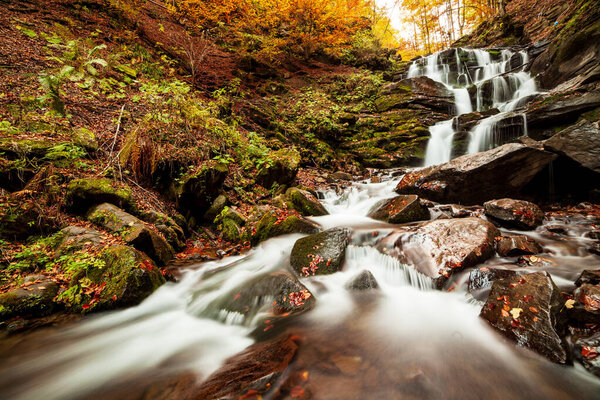 Ukpaine. Waterfall among the mossy rocks. Beautiful landscape rapids on a mountains river in autumn forest in carpathian mountains at sunset. Silver stream in National park Shypit Carpat. Pilipets.