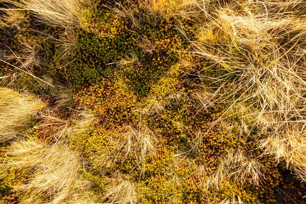 Ucrania, las montañas Magura-Jide y el cielo azul Paisaje de las montañas Cárpatas. Amplios paisajes desérticos abiertos de las tierras altas de Borzhava. Pylypets, Parque Nacional. —  Fotos de Stock