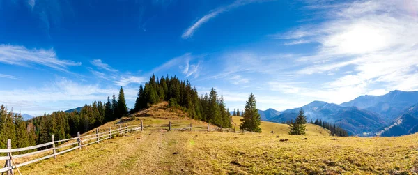 sonbahar dağlar yamaca ağaçta. puslu dağ sırtı bir mesafede, güzel aydınlık yatay