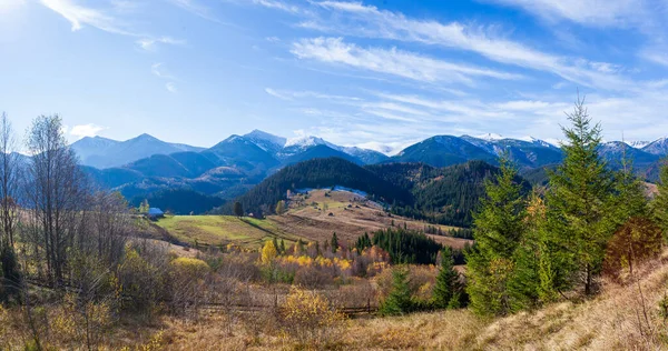 Magnifique paysage magnifique avec forêt de montagnes et prairie avec des arbres dans les montagnes des Carpates, Ukraine. — Photo
