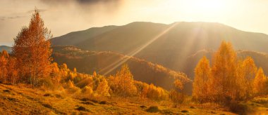 Ukrayna. Transcarpathian köyünde ılık bir sonbahar. Resimli kayın, huş ağacı ve çam ağaçları ve Synevyr Geçidi 'nin zeminine karşı Hutsul evleri parlak renklerle çok güzeldir.