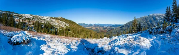 Ukraine. A picturesque view of the mountains, overgrown with forest and covered with snow. Landscape with Carpathian mountains and white snow. Beautiful winter panorama of mountains and snow. — Stockfoto