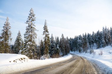Carpathian mountains, Ukraine. Beautiful scenery of snowy mountains