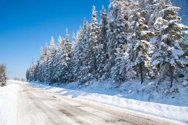 Karpat Dağları, Ukrayna. Karlı dağların güzel manzarası