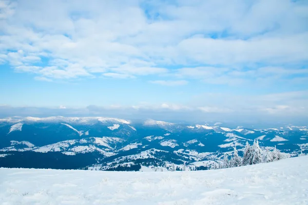 Karpat Dağları, Ukrayna. Güzel kış manzarası. Orman işçisi karla kaplı..