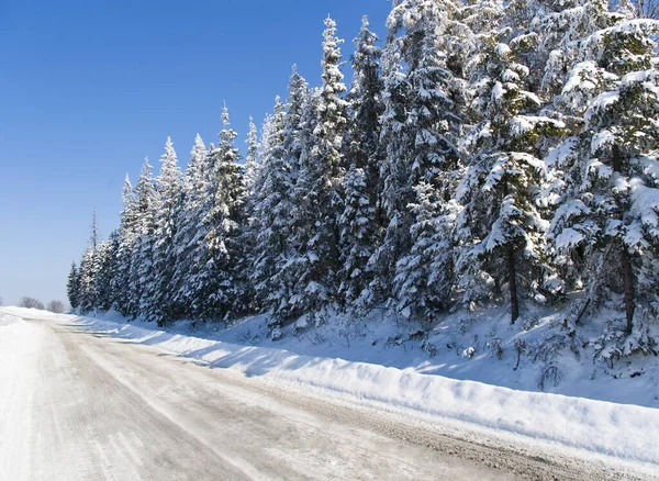 Montagne carpatiche, Ucraina. Bellissimo scenario di montagne innevate — Foto Stock