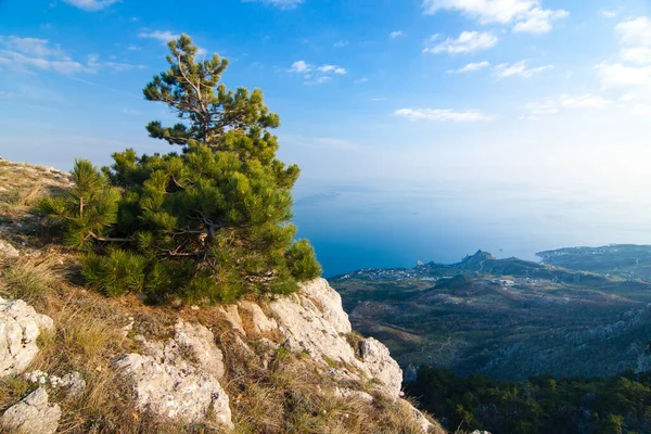 A wonderful and unusually beautiful landscape overlooking the high plateau of the Crimean mountains. Clean and reasonable nature of Crimea. Ukraine, territory occupied by the Russian Federation. — Foto de Stock