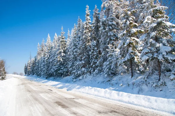 Karpat Dağları, Ukrayna. Karlı dağların güzel manzarası