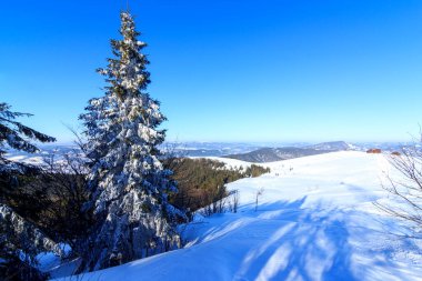 Karla kaplı ağaçlarla kaplı güzel bir kış manzarası. Kış dağları.